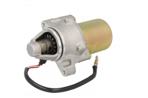 Electrice - Eletromotor Aprilia Af1