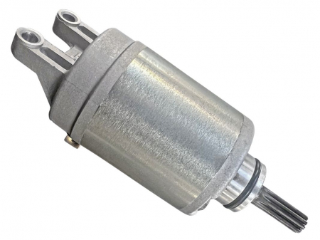 ELECTROMOTOR SUZUKI LT-R 450 06-11 [3]