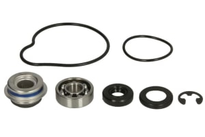 Motor - KIT POMPA APA ARCTIC-CAT  500 / 550 / 650 / 700  2005-2019