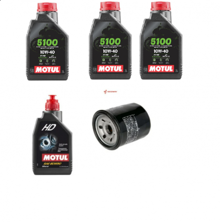 SEGWAY PIESE - KIT REVIZIE MOTOR + ULEI GRUPURI SEGWAY SNARLER 570 / 600