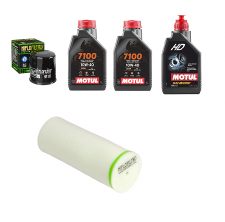Kit revizie - Kit revizie Yamaha Grizzly 660