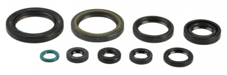 KIT SIMERINGURI MOTOR HONDA CRF 450 R 09-16 [1]