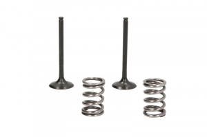 Suzuki - Set supape evacuare cu arcuri Suzuki  LT-R450 '06-11