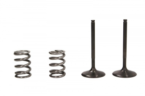 ATV-uri (Piese) - Set supape  admisie otel cu arcuri  Suzuki  LT-R450 '06-11