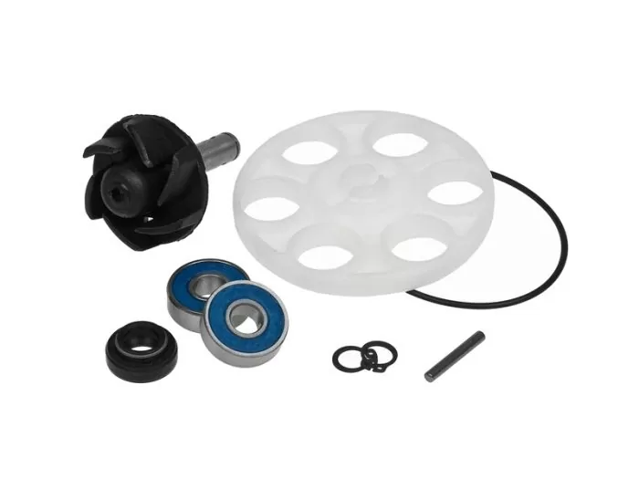 Set Motor - POMAPA APA APRILIA RALLY, SR; MALAGUTI F12, F12R, F15; MBK YQ; YAMAHA CS, YQ 50 1994-2015