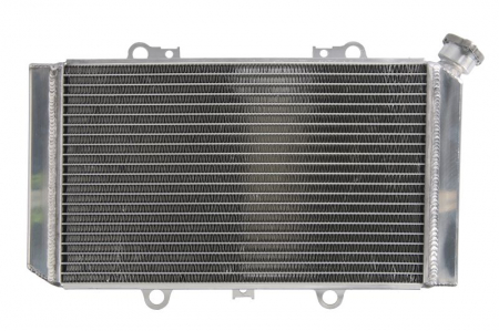 RADIATOR APA YAMAHA GRIZZLY 660 2002-2008 [1]