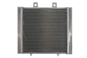 RADIATOR POLARIS SPORTSMAN 400/450/500/570 2004-2023 [1]