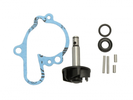 Motor - KIT POMPA APA MINARELLI / CPI 50-125  AM6