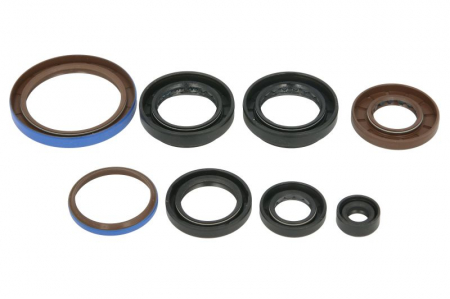 SET COMPLET SIMERINGURI MOTOR ARCTIC-CAT 550 ,570 ,650, 700 2007-2020 [1]