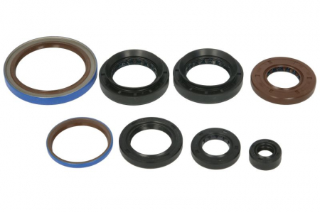 SET COMPLET SIMERINGURI MOTOR ARCTIC-CAT 550 ,570 ,650, 700 2007-2020 [2]