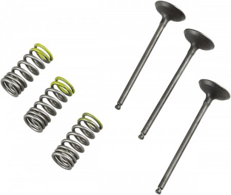 SET SUPAPE ADMISIE CU ARCURI YAMAHA YZ 250 F / WR 250 F 2001-2013 / GAS-GAS 250 / 300 [2]