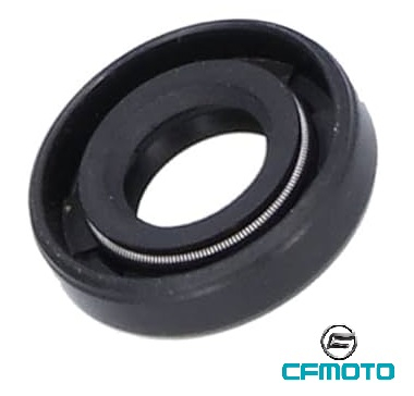 SIMERING POMPA APA CFMOTO 0110-080005 [1]