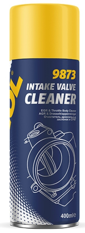 SPRAY CURATAT CALAMINA ( EGR ) / CLAPETA ACCELERATIE  400ml