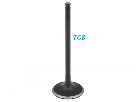 SUPAPA ADMISIE TGB BLADE / TARGET 425 / 500 / 525 / 550 2007-2021 [1]