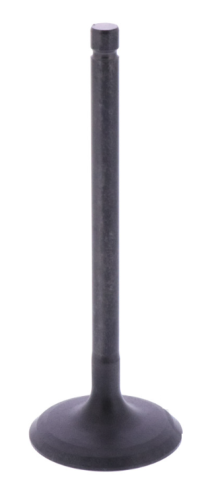 ATV-uri (Piese) - SUPAPA ADMISIE YAMAHA TT 225 / TW 200 / XG 250 / YFM 250 R / YP 250 / XT200 1981-2026