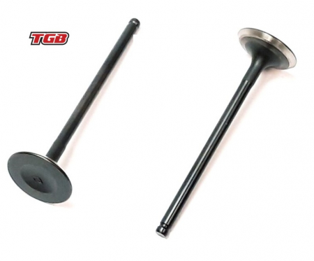 SUPAPA EVACUARE TGB 600 / 1000 BLADE/TARGET [1]