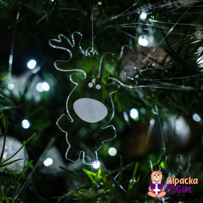 Set 12 Fulgi Acrilici - Ornament de Brad [8]