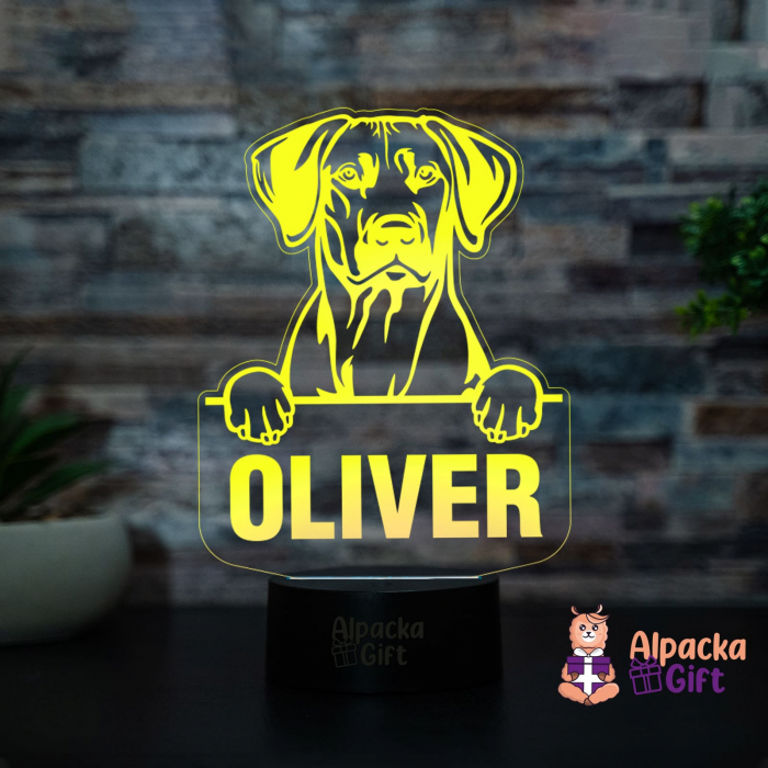 Lampă 3D - Rhodesian Ridgeback [4]