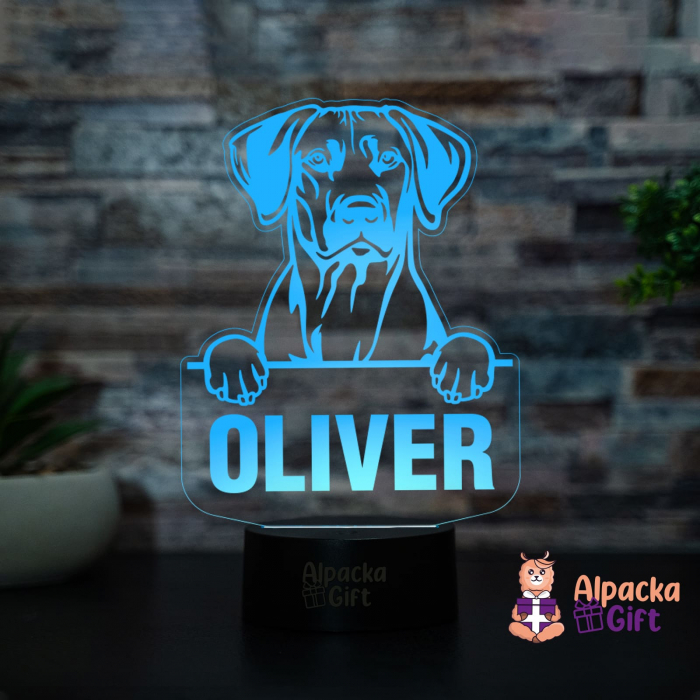 Lampă 3D - Rhodesian Ridgeback [2]