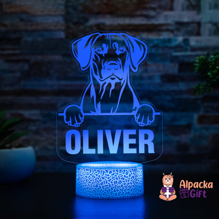 Lampă 3D - Rhodesian Ridgeback [2]