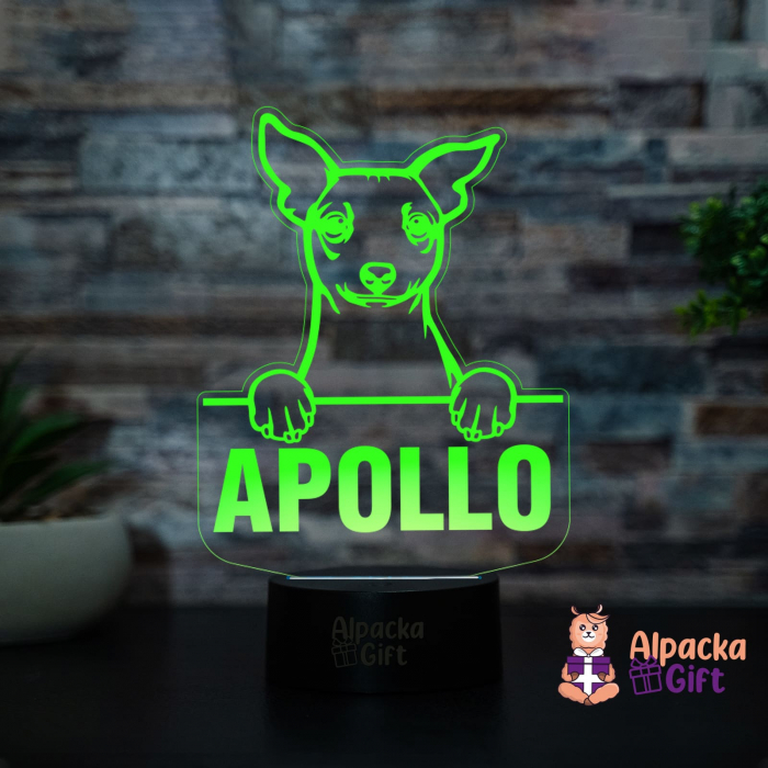 Lampă 3D - Terrier American Fără Păr (Hairless Terrier) [2]