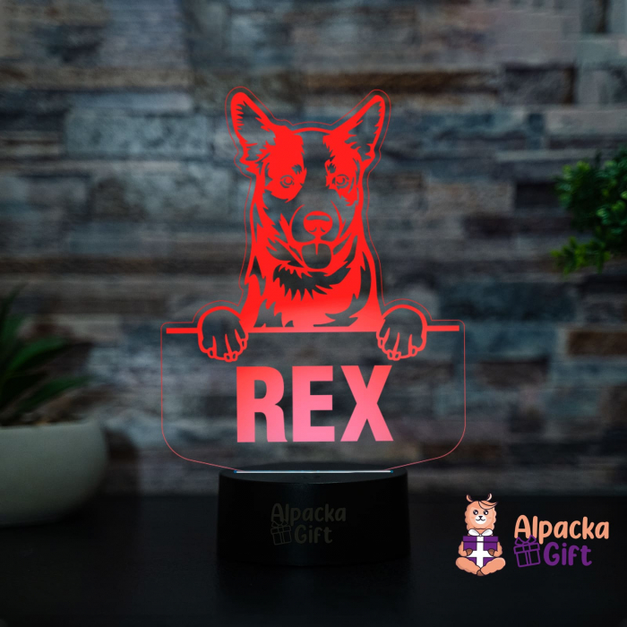 Lampă 3D - Caine de Bovine Australian [2]