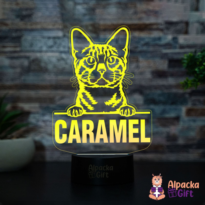 Lampă 3D - Bengal [2]