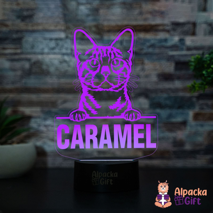 Lampă 3D - Bengal [3]