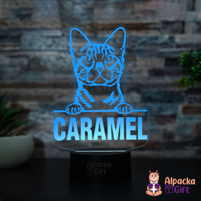 Lampă 3D - Bengal [4]