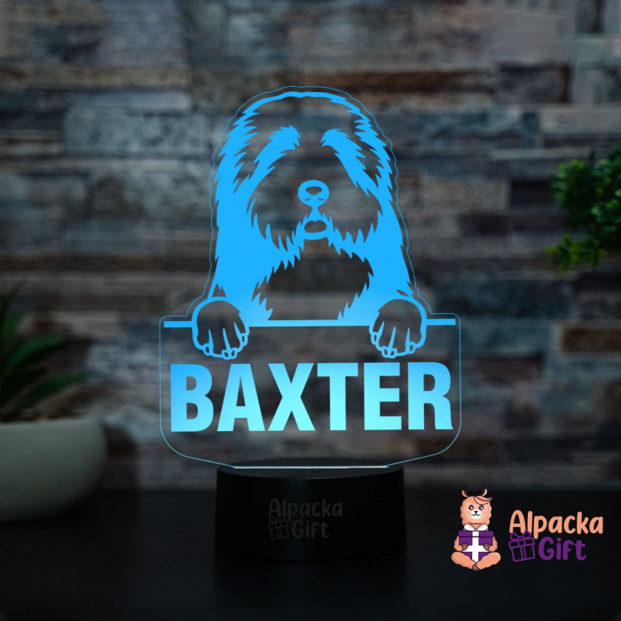 Lampă 3D - Collie cu Barba [2]