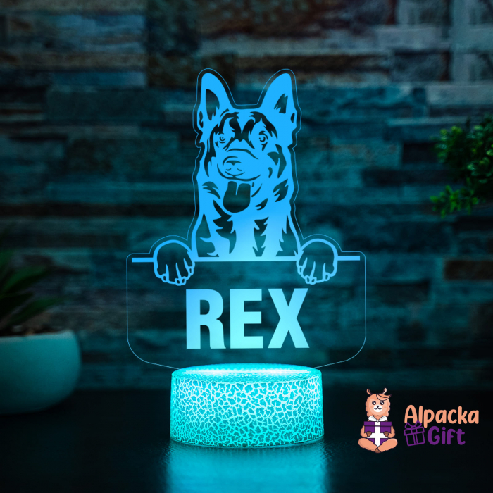 User Lampă 3D - Belgian Malinois [3]