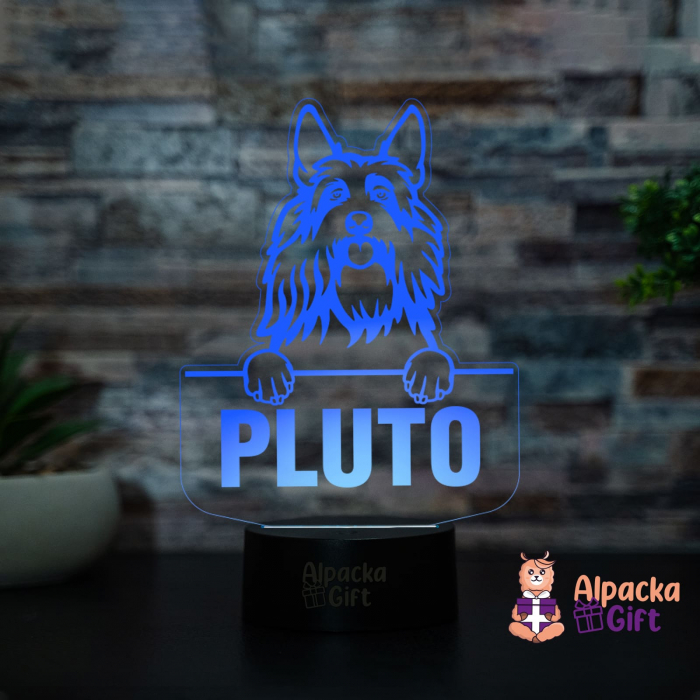 Lampă 3D - Berger Picard [4]