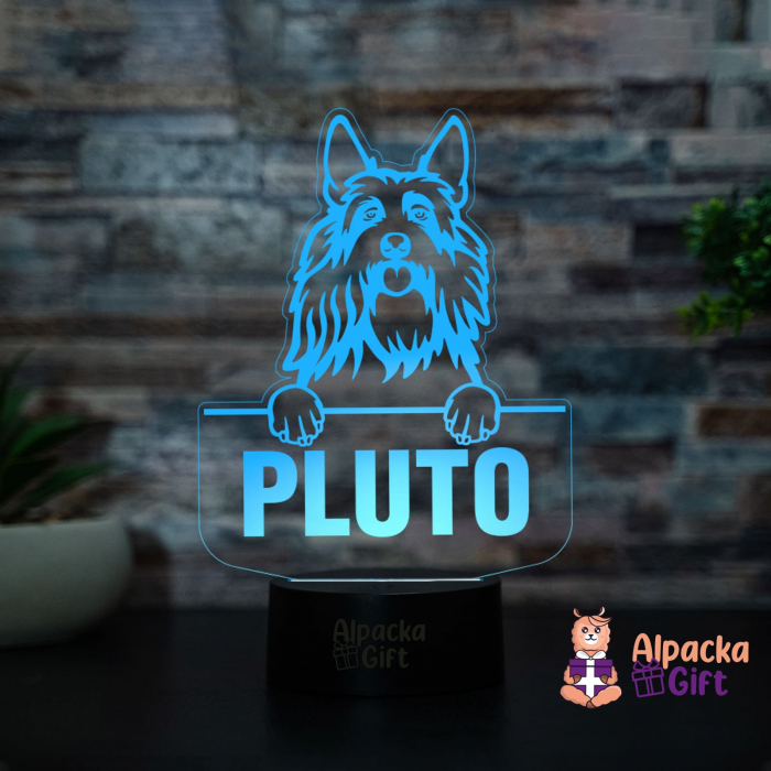 Lampă 3D - Berger Picard [2]