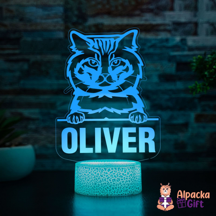 Lampă 3D Bobtail American [2]