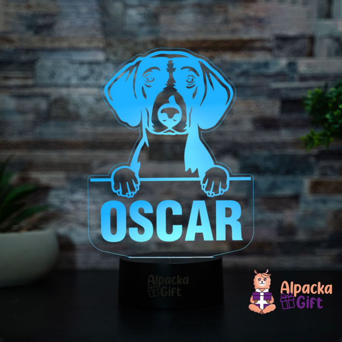 Lampă 3D - Borador [2]