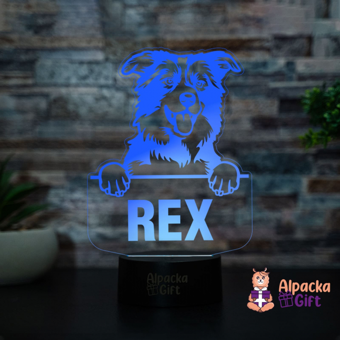 Lampă 3D - Border Collie [4]