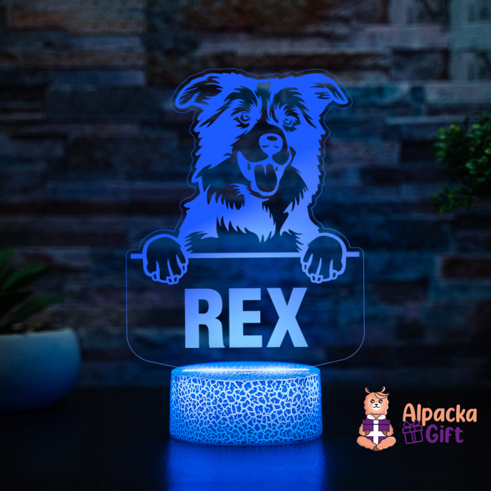 Lampă 3D - Border Collie [2]