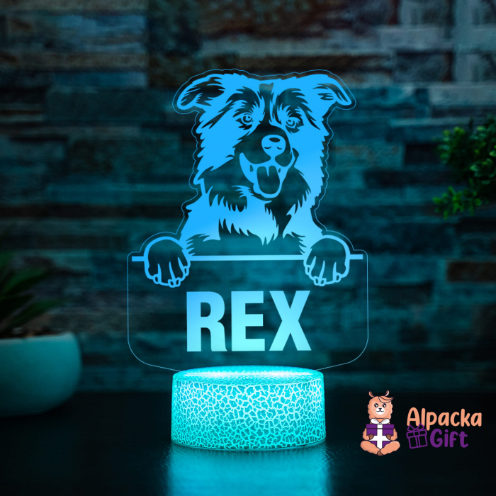 Lampă 3D - Border Collie [5]