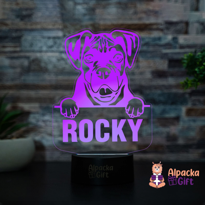 Lampă 3D - Boxer [3]