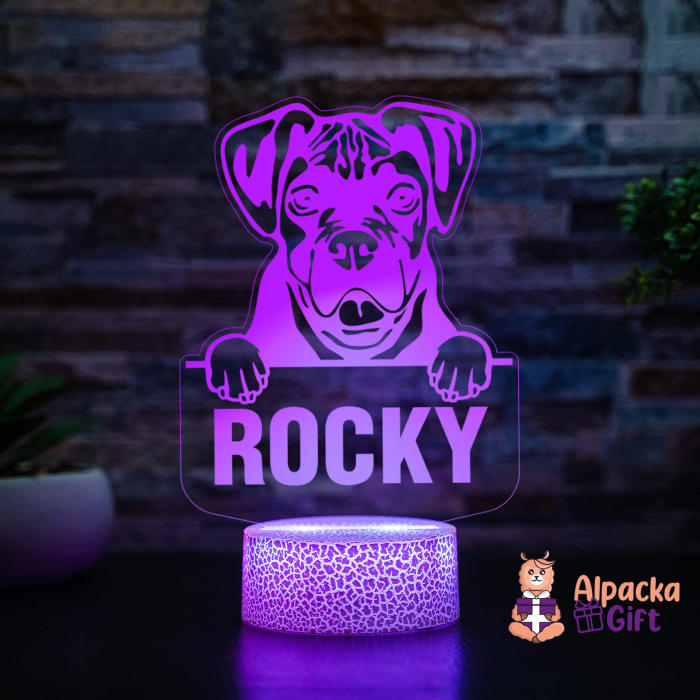 Lampă 3D - Boxer [3]