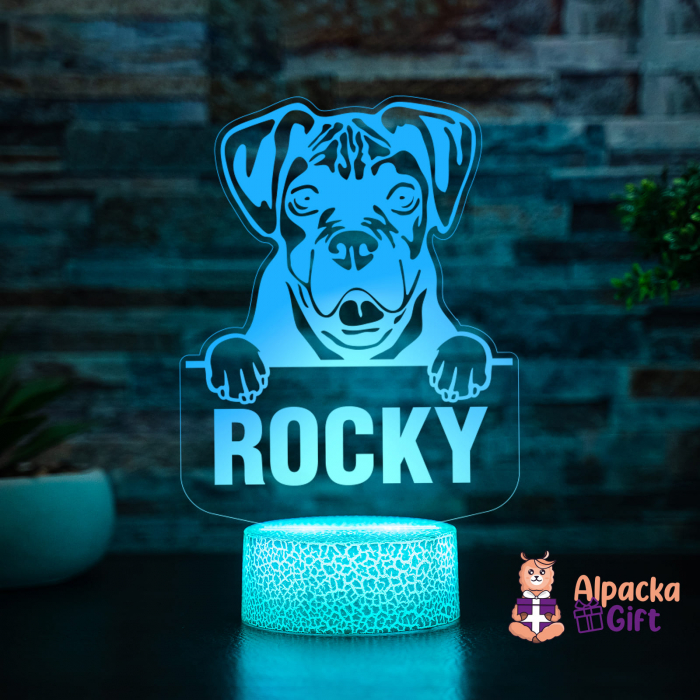 Lampă 3D - Boxer [5]