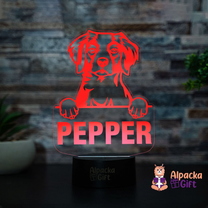 Lampă 3D - Brittany [4]