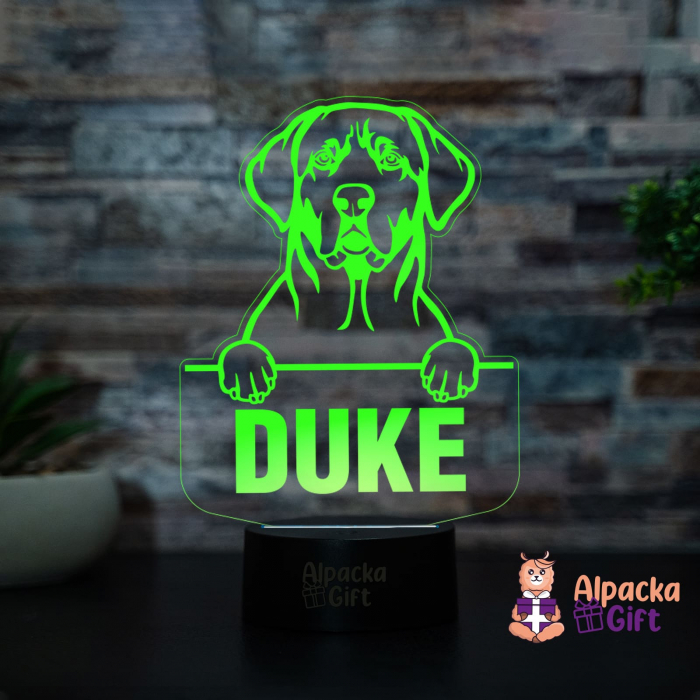 Lampă 3D - Broholmer [2]