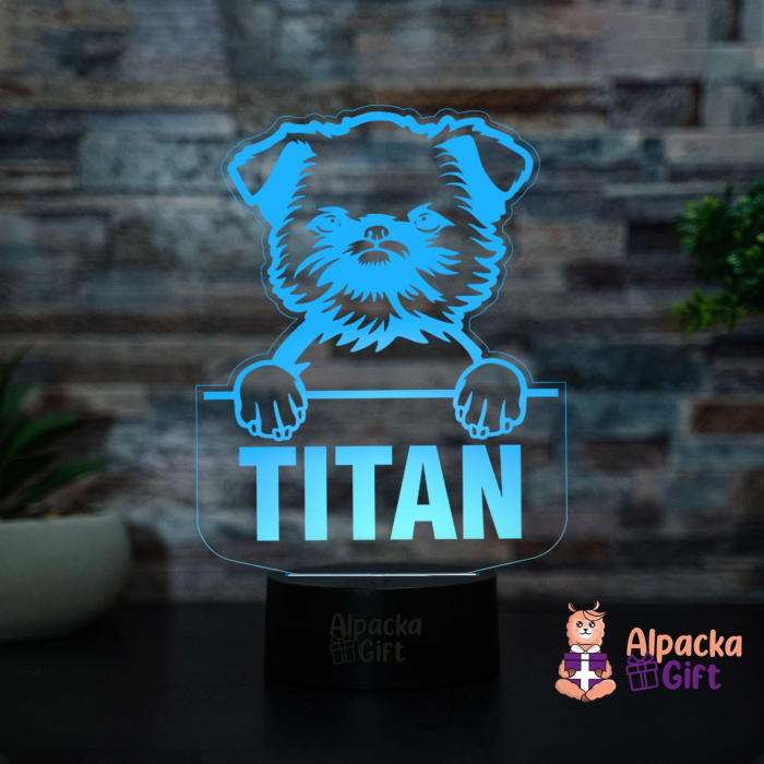 Lampă 3D - Griffon de Bruxelles (Brussels Griffon) [4]