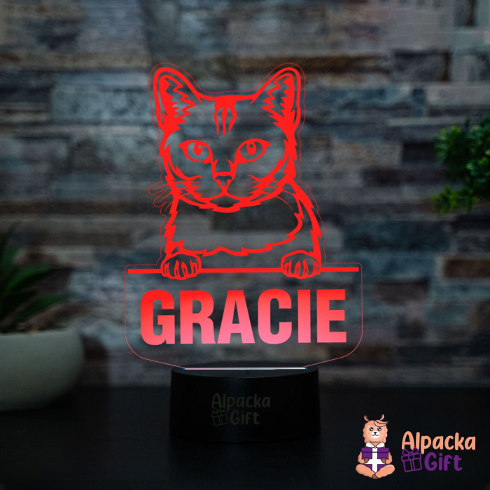 Lampă 3D - Burmilla [2]