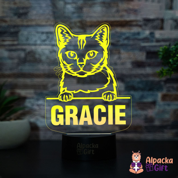 Lampă 3D - Burmilla [3]