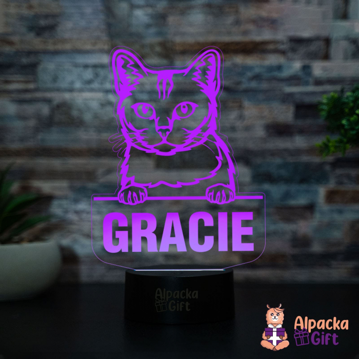 Lampă 3D - Burmilla [4]