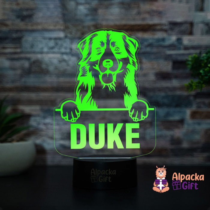 Lampă 3D - Caine de Munte Bernez [4]