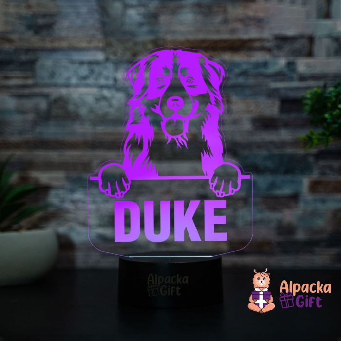 Lampă 3D - Caine de Munte Bernez [3]