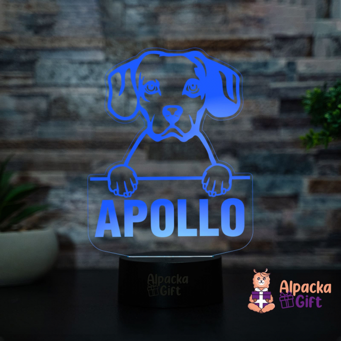 Lampă 3D - Cav-A-Jack [4]